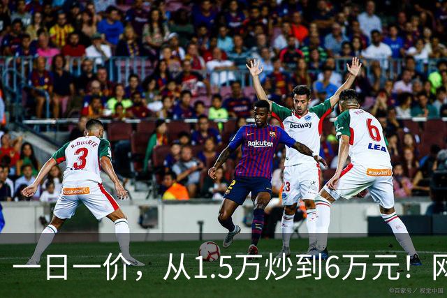 一日一价，从1.5万炒到6万元！网友：怎么涨得比黄金还离谱
