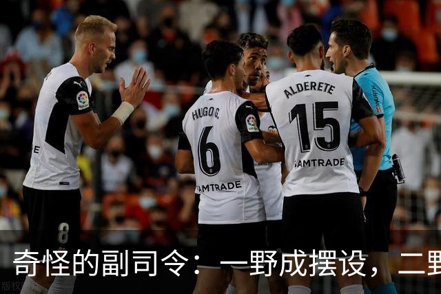 奇怪的副司令：一野成摆设，二野四野干脆没有，三野相当于司令