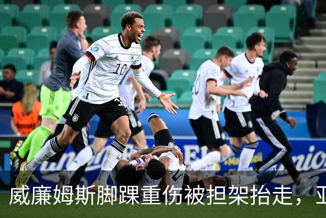 威廉姆斯脚踝重伤被担架抬走，亚历山大当场落泪