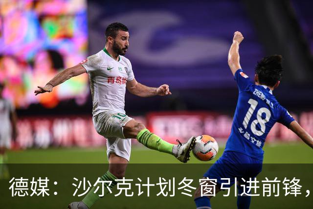 德媒：沙尔克计划冬窗引进前锋，左后卫东科尔可能离队