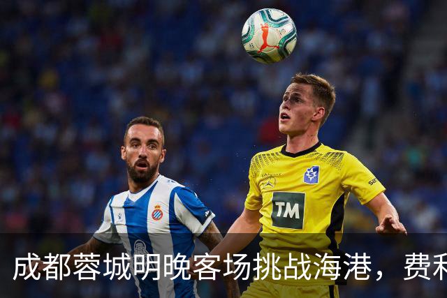 成都蓉城明晚客场挑战海港，费利佩复出：现在说什么不重要，关键是决心和表现