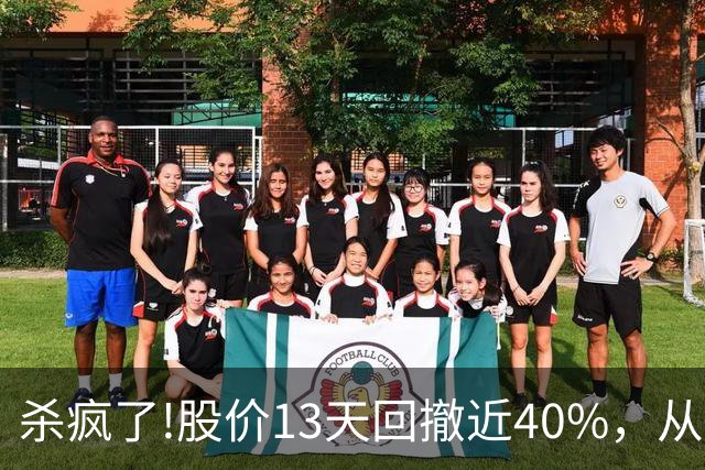 杀疯了!股价13天回撤近40%，从高点248.3砸至153.01!出现12连阴!