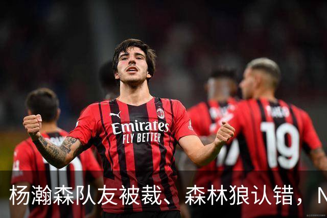 杨瀚森队友被裁、森林狼认错，NBA高个控卫实验，为什么都失败了