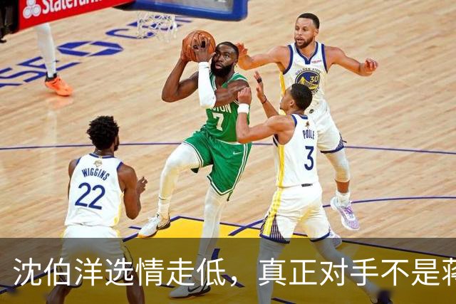 沈伯洋选情走低，真正对手不是蒋万安，也不是大陆，而是赖清德？