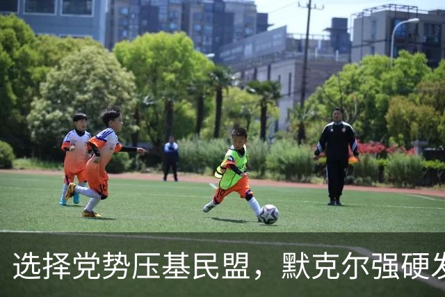 选择党势压基民盟，默克尔强硬发声：绝不能让德国落入选择党之手