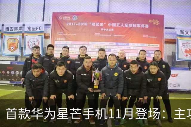 首款华为星芒手机11月登场：主攻性价比 压力给到友商